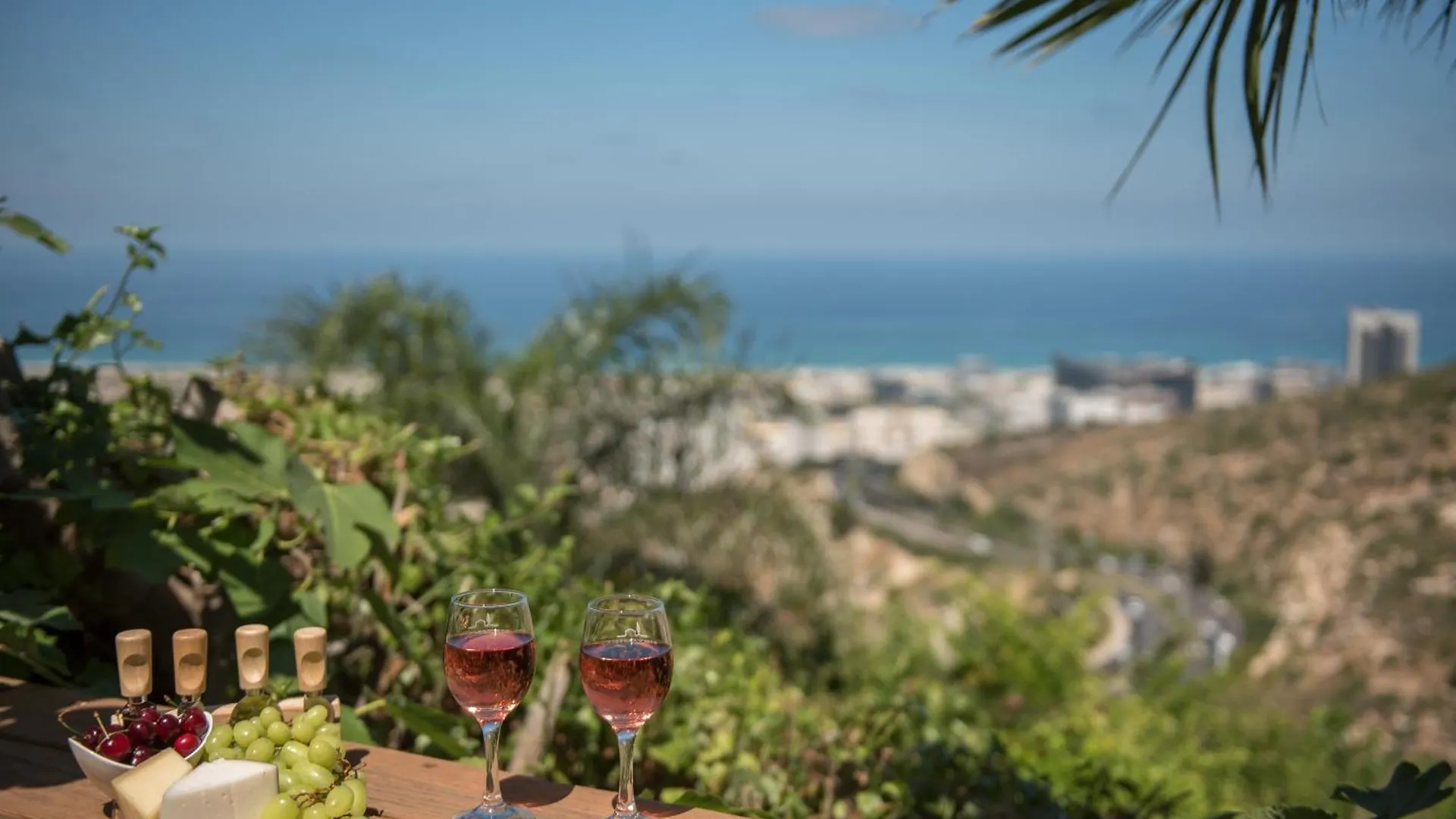 Wallenberg Oasis Apartments Haifa