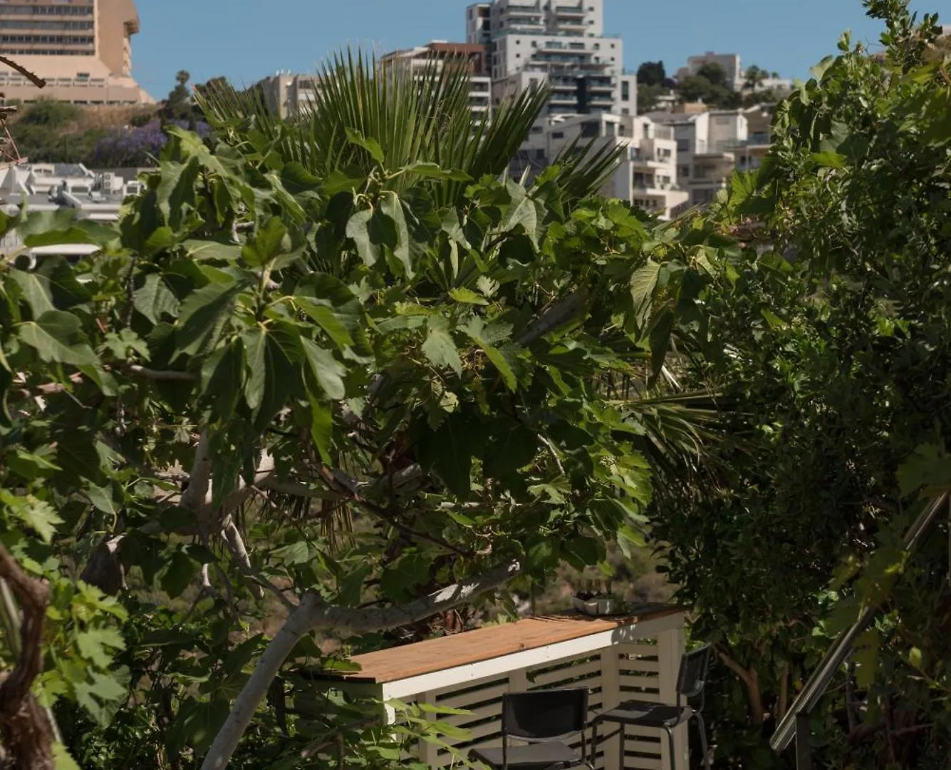 Wallenberg Oasis Apartments Haifa